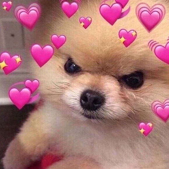 Meet your Posher, Rose - Picture 1 of 1